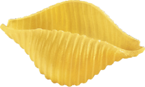 CONCHIGLIE RIGATE N.50 24x0,500
