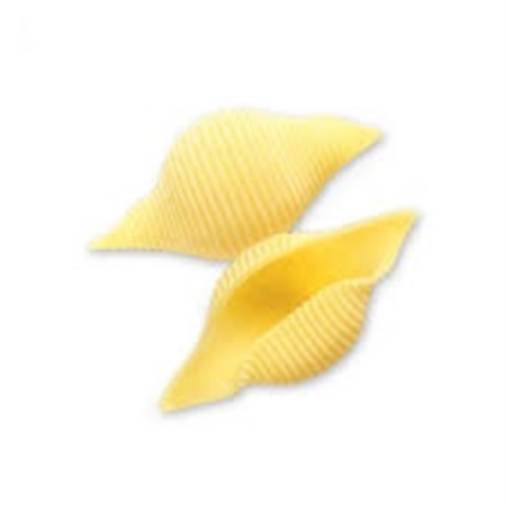 CONCHIGLIONI RIGATI N.147 12x0,500